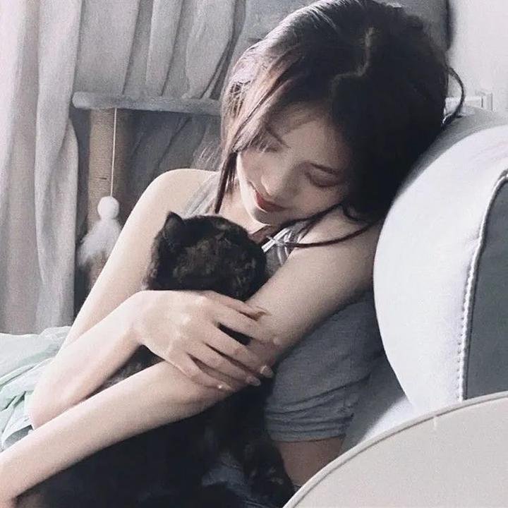 狩猎狗(电影)